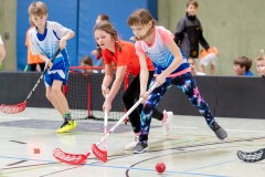 KE Floorball in Herzhausen, 03/19
1. HF: Ederseeschule Herzhausen - Diemeltalschule Usseln (in Rot) 2:0
Foto: Artur Worobiow