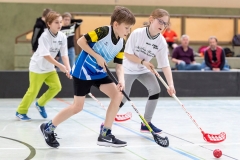KE Floorball in Herzhausen, 03/19
Finale: Ederseeschule Herzhausen - Henkelschule Vöhl (in Weiß)
Foto: Artur Worobiow