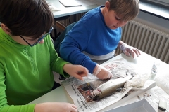 2019_fische_6