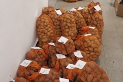 2019_kartoffel_verkauf_1