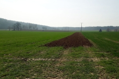 2019_kartoffelernte_10