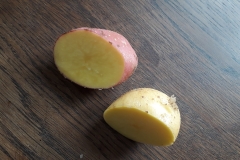 2019_kartoffelernte_7