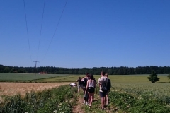 2019_kartoffelernte_9