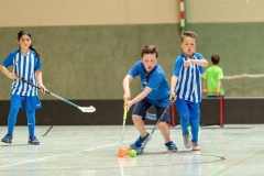 1900318147-regionalentscheid-im-floorball-P8a7